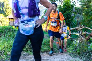 BIB: 310, 3043
                            <button type="button" onclick="openModal(19044538)" class="btn btn-primary btn-sm float-right btn-popup" data-toggle="modal" data-target=".modal-high-quality">
                        <i class="fas fa-shopping-cart"></i> Add to Cart
                    </button>
                                            <button type="button" onclick="isThisMe(19044538, true)" class="btn btn-success btn-sm float-right btn-popup btn-isme hidden" data-toggle="tooltip" data-placement="bottom" title="นี่คือรูปของคุณใช่ไหม คลิกที่นี่เพื่อเอาเข้าอัลบั้ม">
                        <i class="fas fa-plus"></i> Add to album
                    </button>
                    <button type="button" onclick="isThisMe(19044538, false)" class="btn btn-warning btn-sm float-right btn-popup btn-isnotme hidden">
                        <i class="fas fa-ban"></i> Remove from album
                    </button>